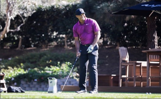 賽鷹美國高爾夫模擬器GCQ（奢華版）